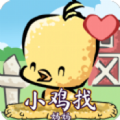 小鸡找妈妈