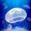 治愈的养成水母游戏下载