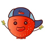 山茶视频