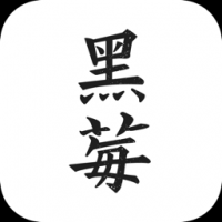 黑莓浏览器安卓版下载