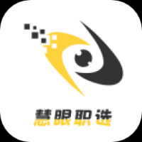慧眼职选