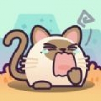 猫了个瞄