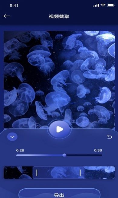 小甜瓜编辑视频截图