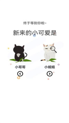 喵上漫画截图