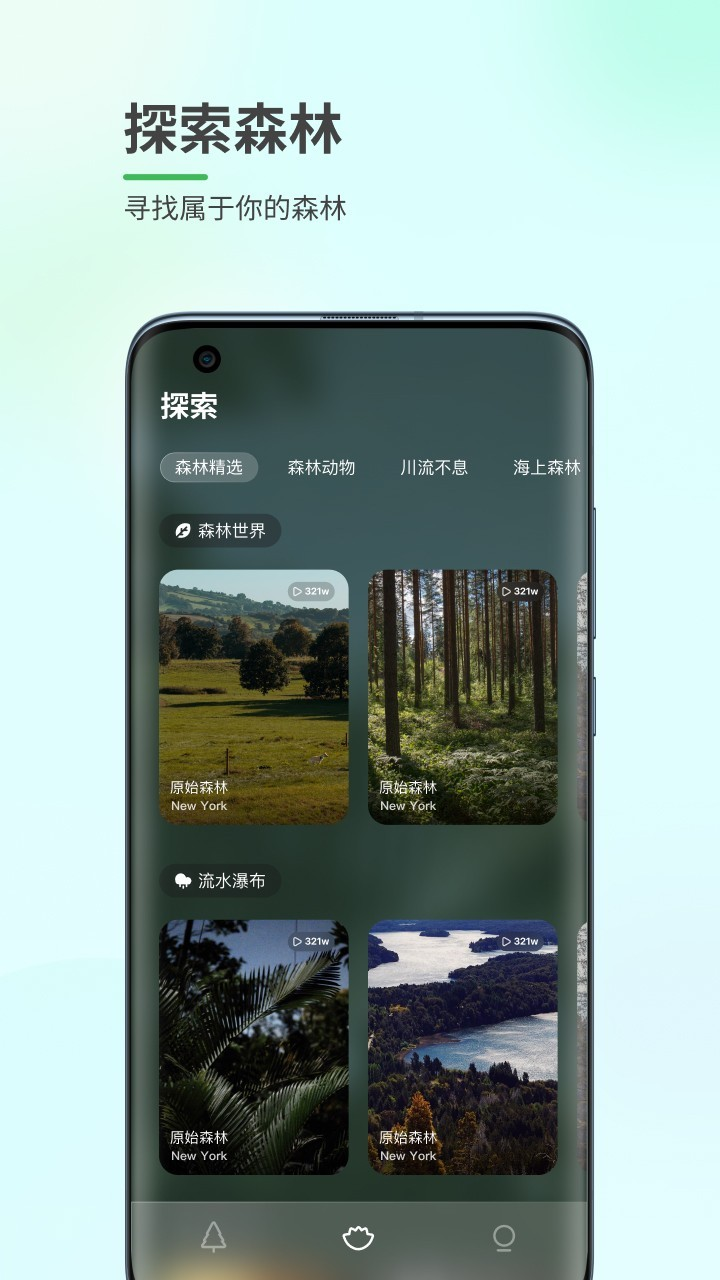 森林白噪音截图
