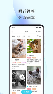 星玉宠截图