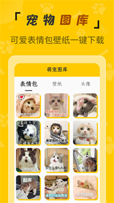 人猫翻译机截图