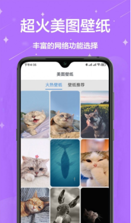 网络工具宝箱截图
