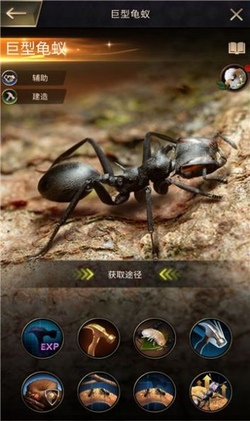 超能蚁团截图