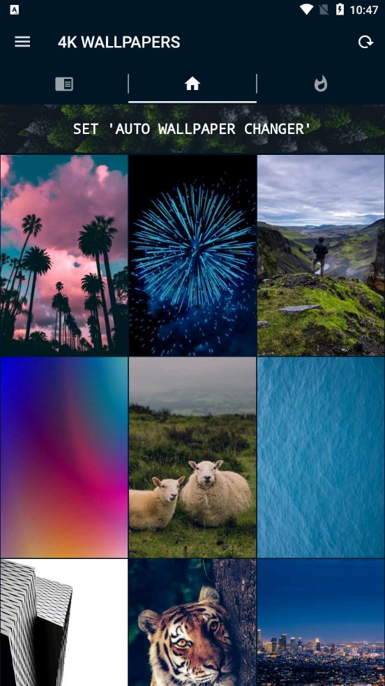 4k wallpapers汉化版动态壁纸截图
