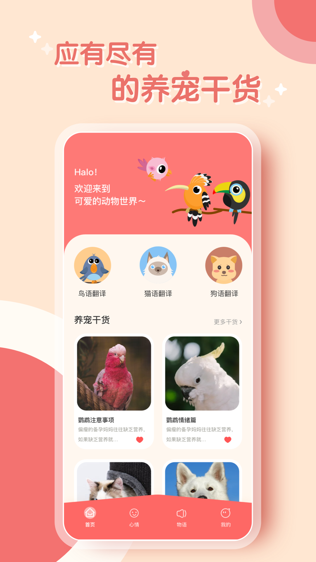 鹦鹉语言翻译器软件下载截图