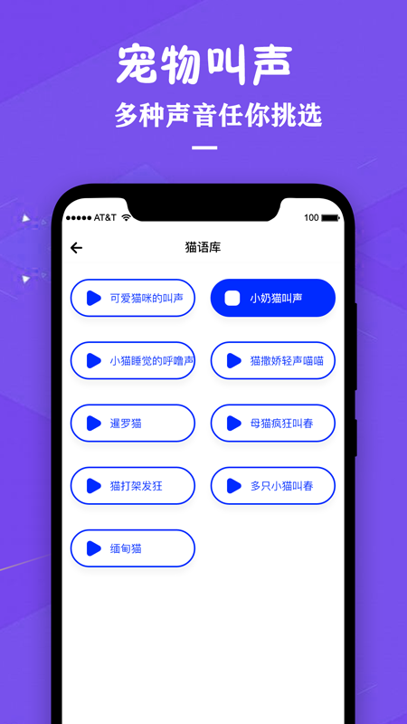 小猫翻译器软件下载截图