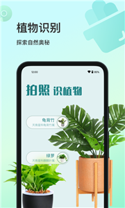 智能花卉识别截图