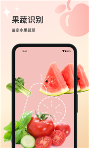 智能花卉识别截图