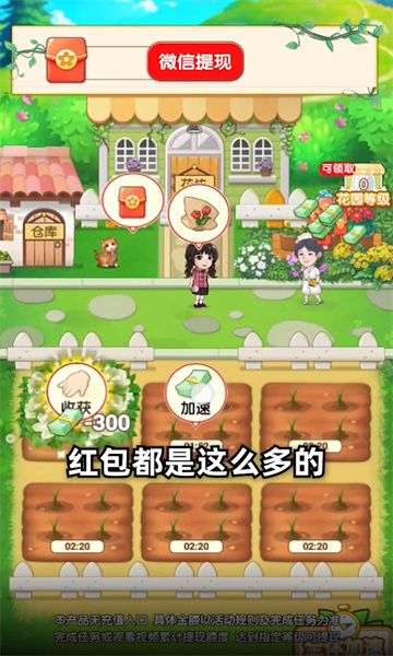 紫薇花园游戏下载截图
