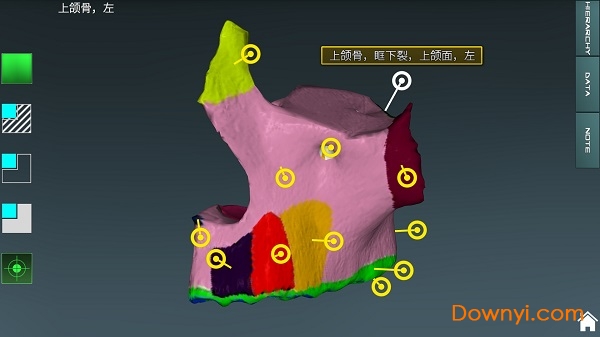 万康人体解剖3D截图