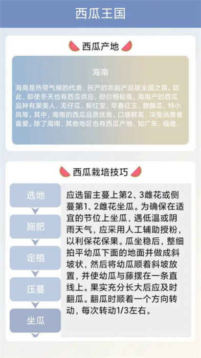 西瓜王国截图