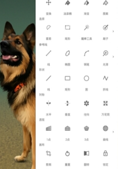 painter软件下载官方版正版截图