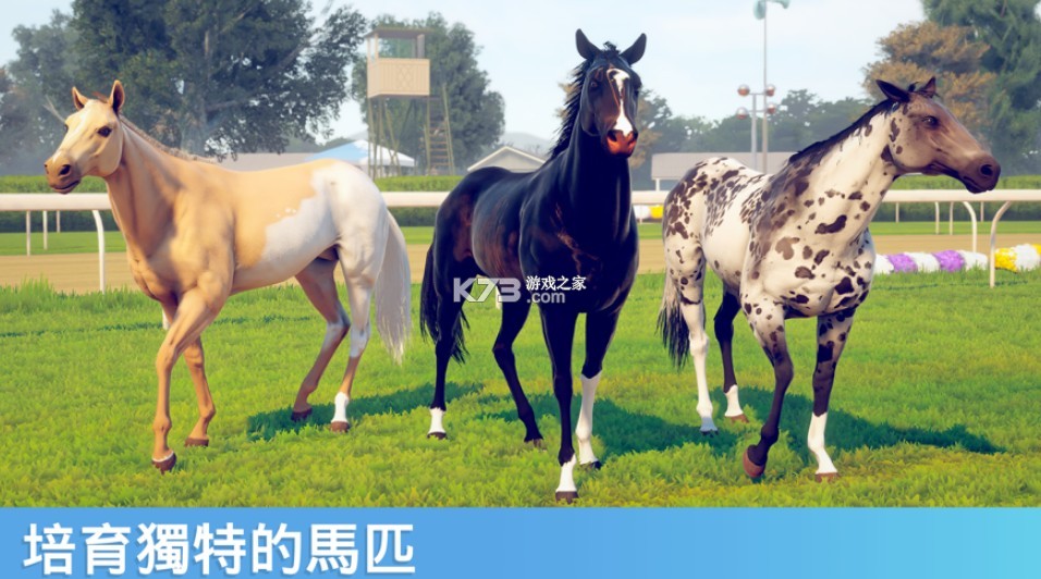 家族传奇马匹养成竞技截图