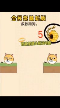 画线保护狗狗截图