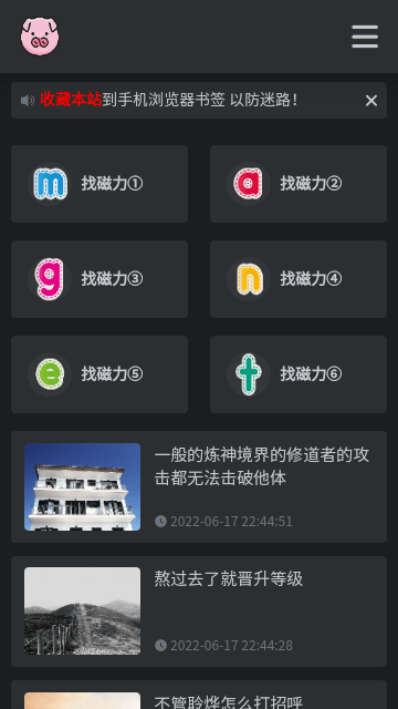 BT磁力猪截图