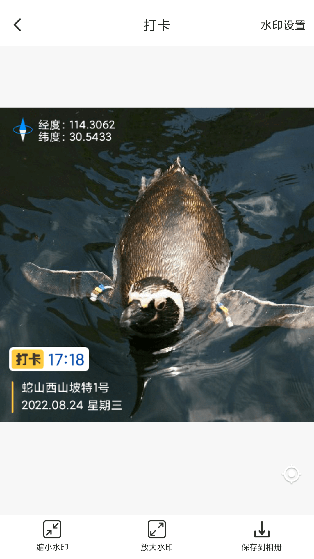 打卡定位精灵截图