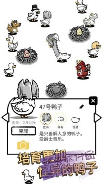 奇怪的鸭子2截图