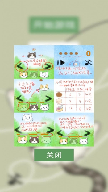 猫猫吃成猪猪截图