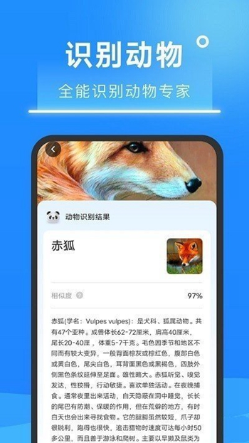 超速扫描大师截图