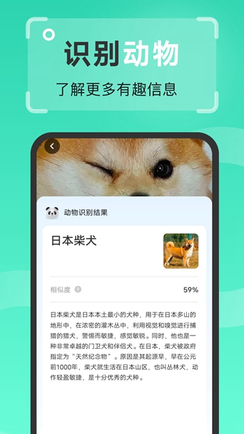 强效扫描王截图