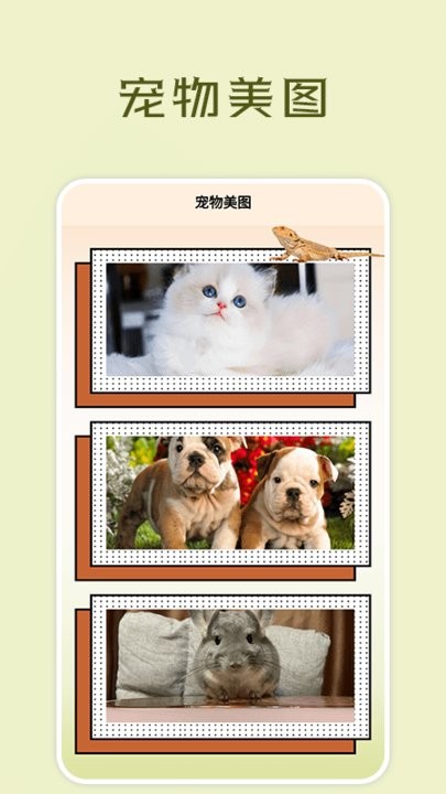 宠物小部件截图