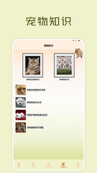 宠物小部件截图