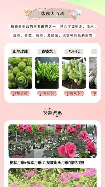 万物识图大师截图