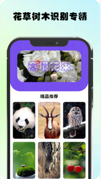 万物识图高手截图