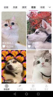 畅看刷刷截图