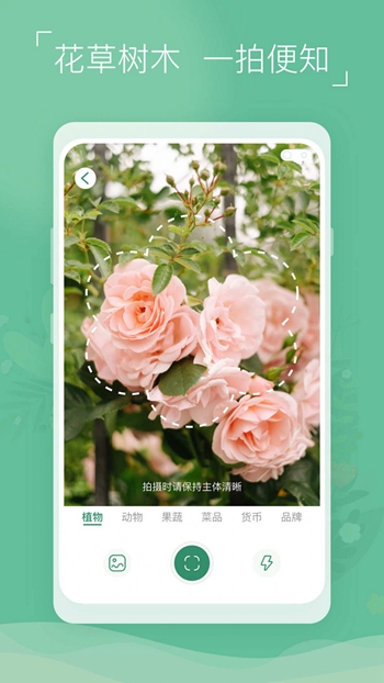 植物识别宝截图