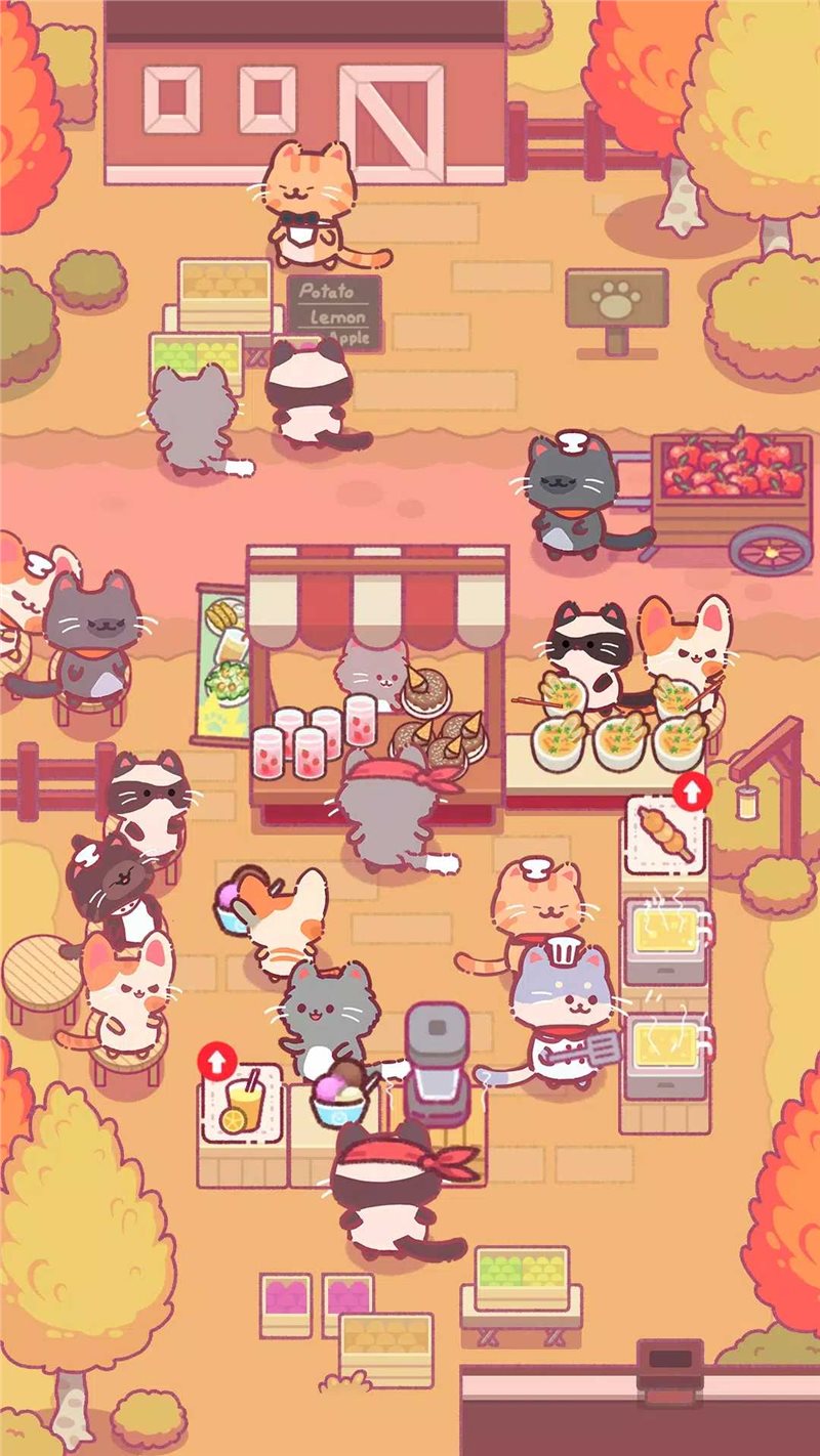 猫餐厅韩国美食截图