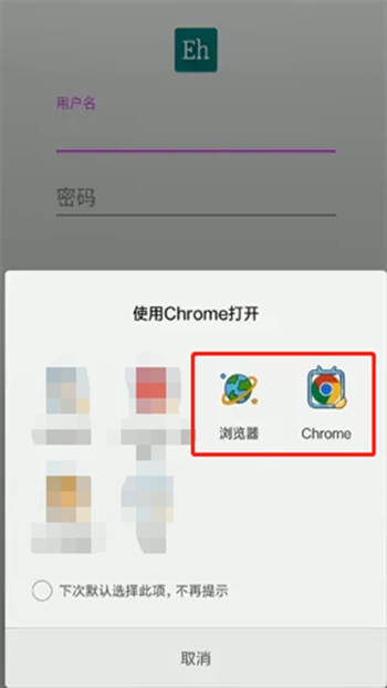 ehviewer白色版截图