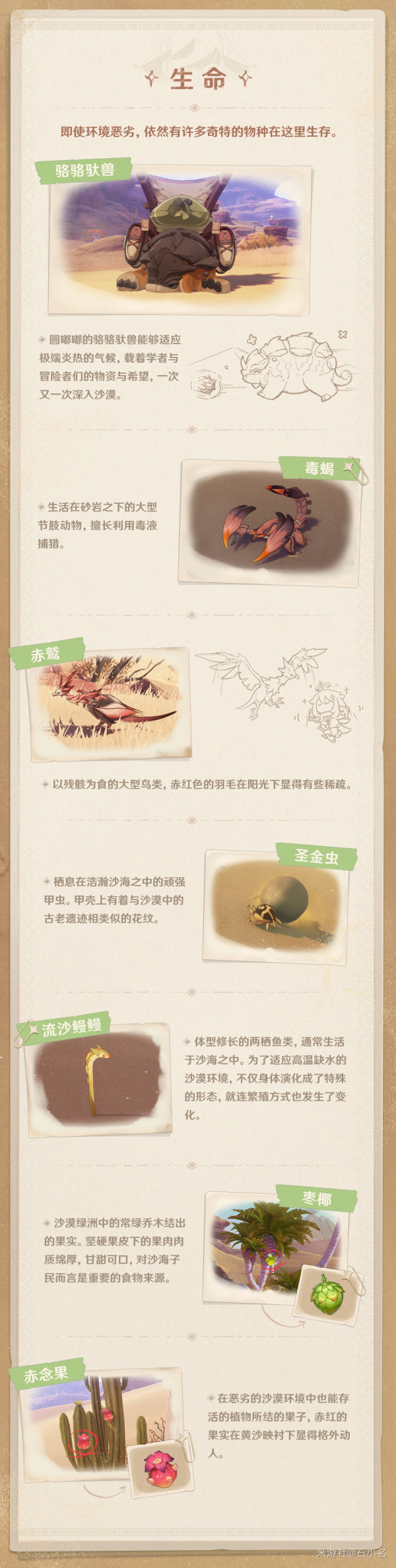 《原神》须弥沙漠简介