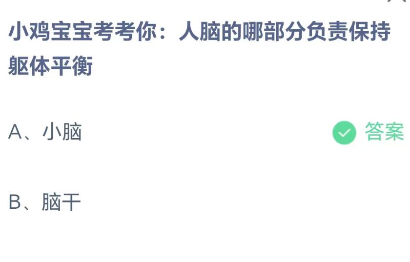《支付宝》人脑的哪部分负责保持躯体平衡？