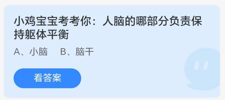 《支付宝》人脑的哪部分负责保持躯体平衡？