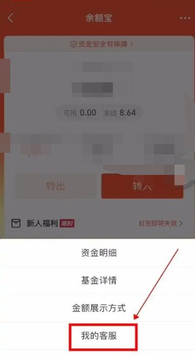 《支付宝》冻结的资金如何取出来？