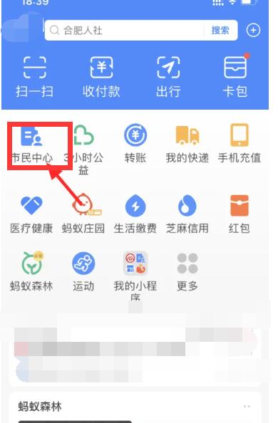 《支付宝》怎么查社保个人缴费情况