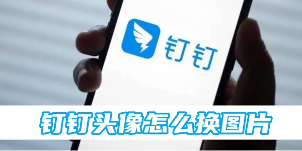《钉钉》头像怎么换图片