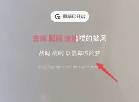 《抖音》如何看着歌词跟唱