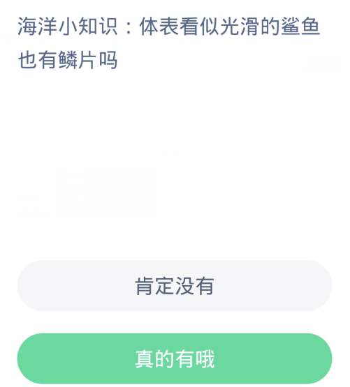 《支付宝》2023神奇海洋汇总分享大全