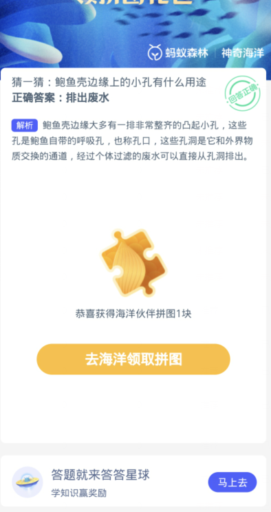 《支付宝》2024蚂蚁庄园神奇海洋每日问题分享汇总