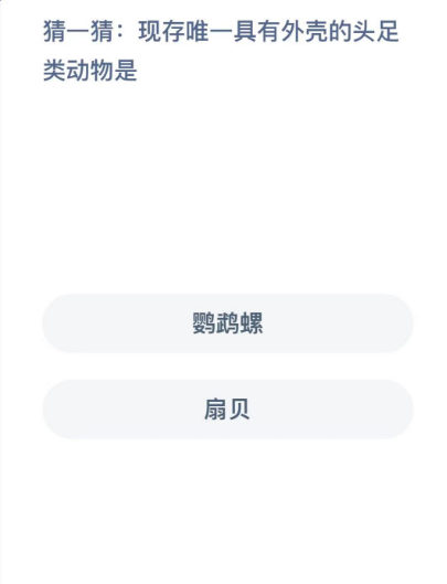 《支付宝》2024蚂蚁庄园神奇海洋每日问题分享汇总