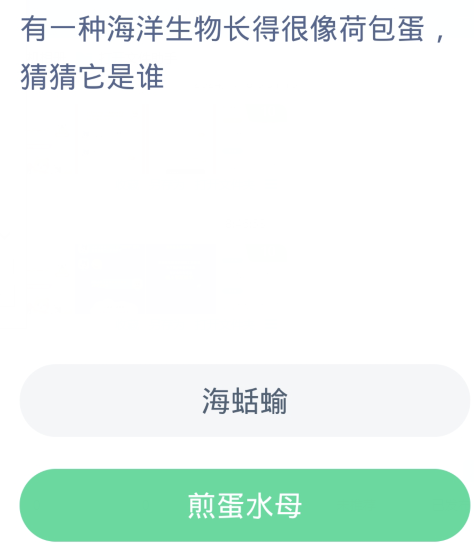 《支付宝》2024蚂蚁庄园神奇海洋每日问题分享汇总