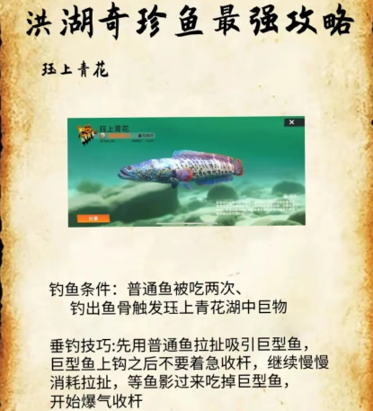 《欢乐钓鱼大师》洪湖最后两条鱼位置和垂钓技巧分享